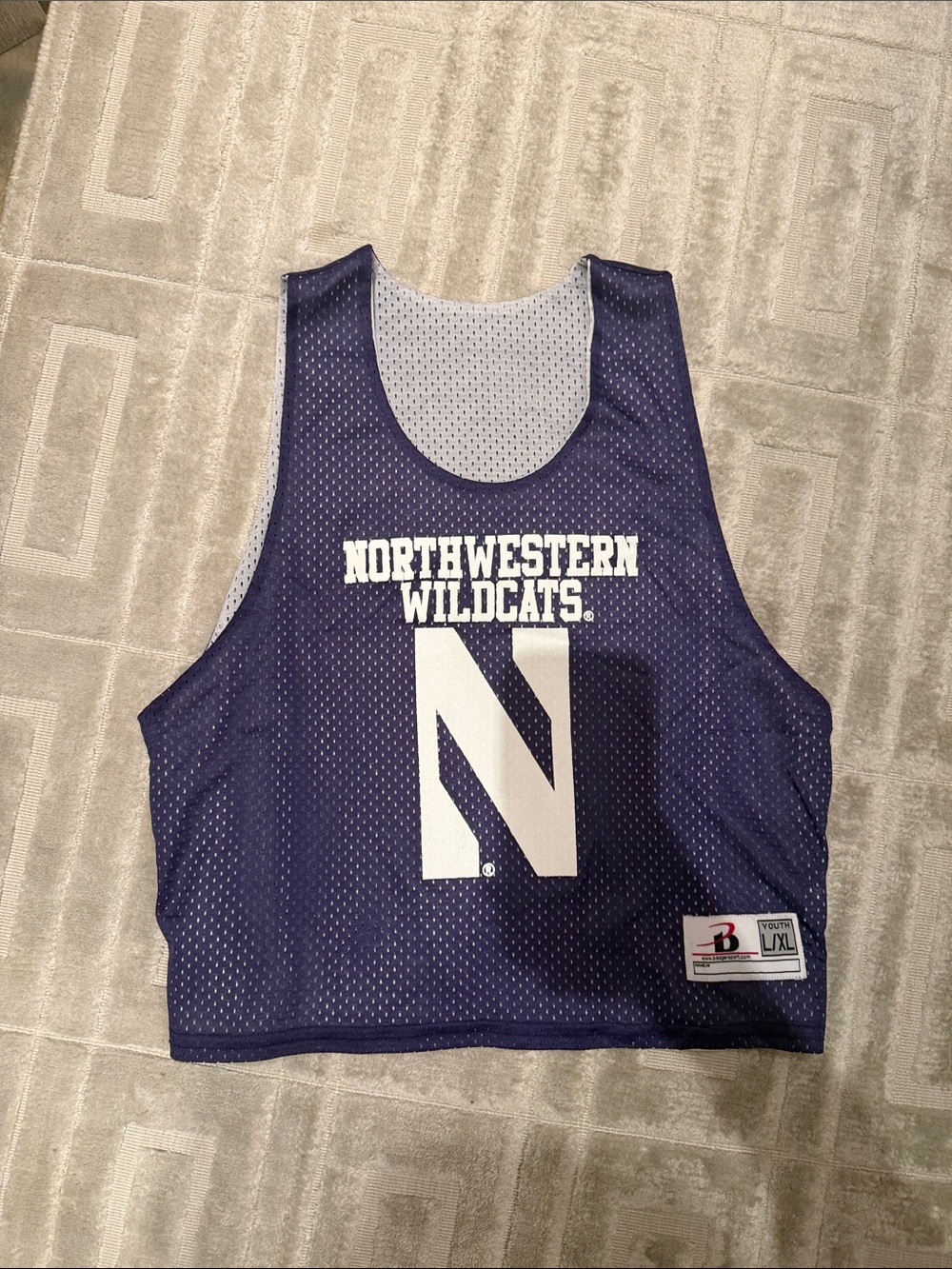Northwestern Wildcats purple Mesh Practice Vest